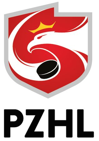 Poland 2016-Pres Primary Logo iron on transfers for clothing